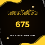 เลขรหัสชีวิต 898