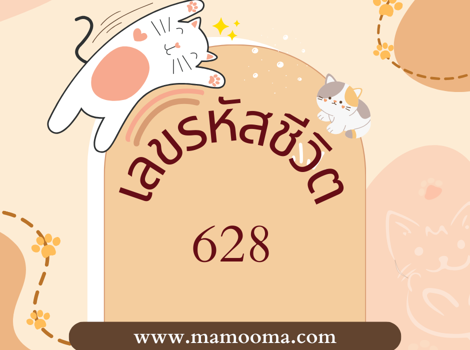 เลขรหัสชีวิต 628