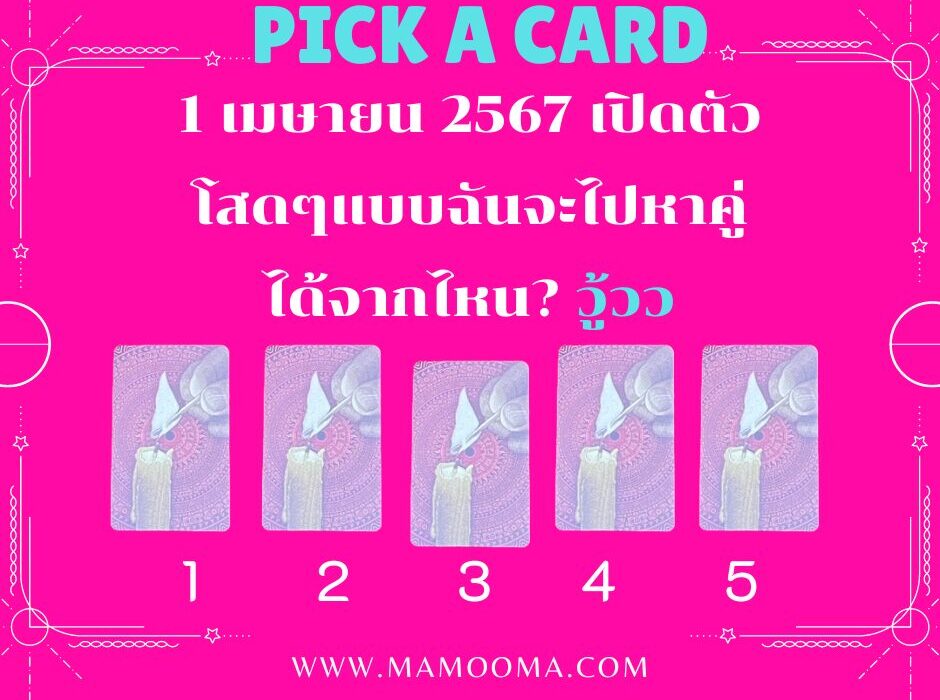 โสดแบบฉันจะไปหาใครได้ที่ไหน มามูมะ