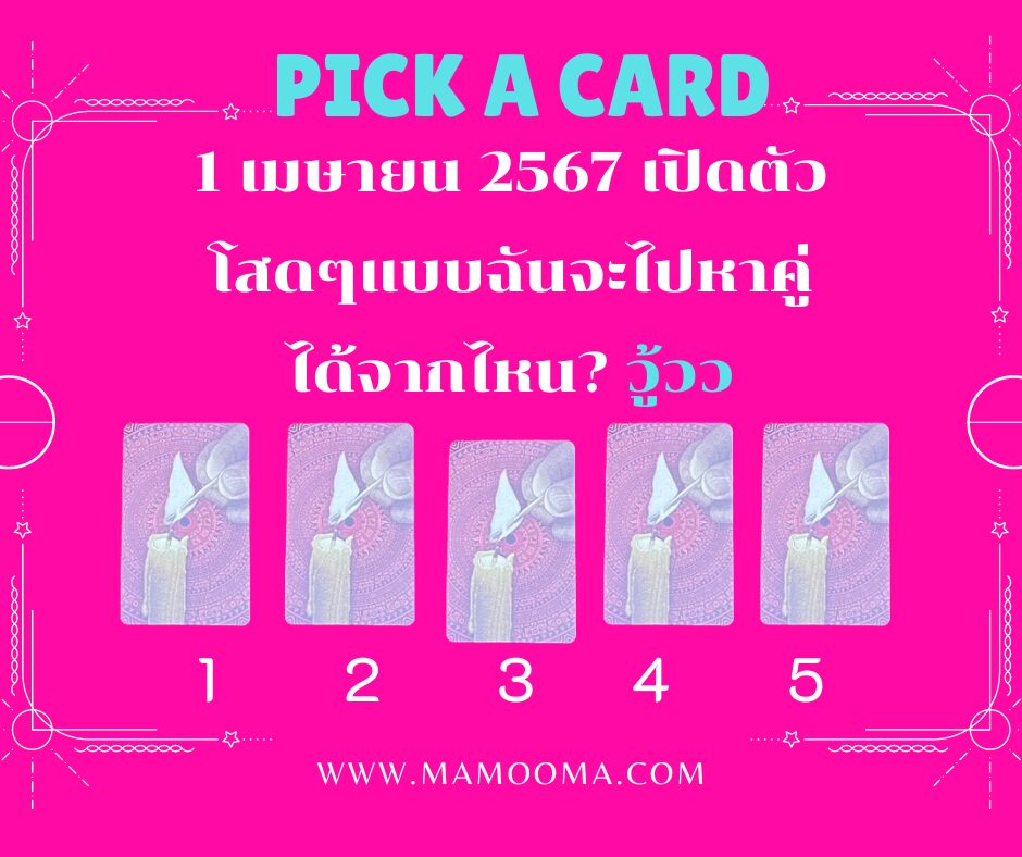 โสดแบบฉันจะไปหาใครได้ที่ไหน มามูมะ