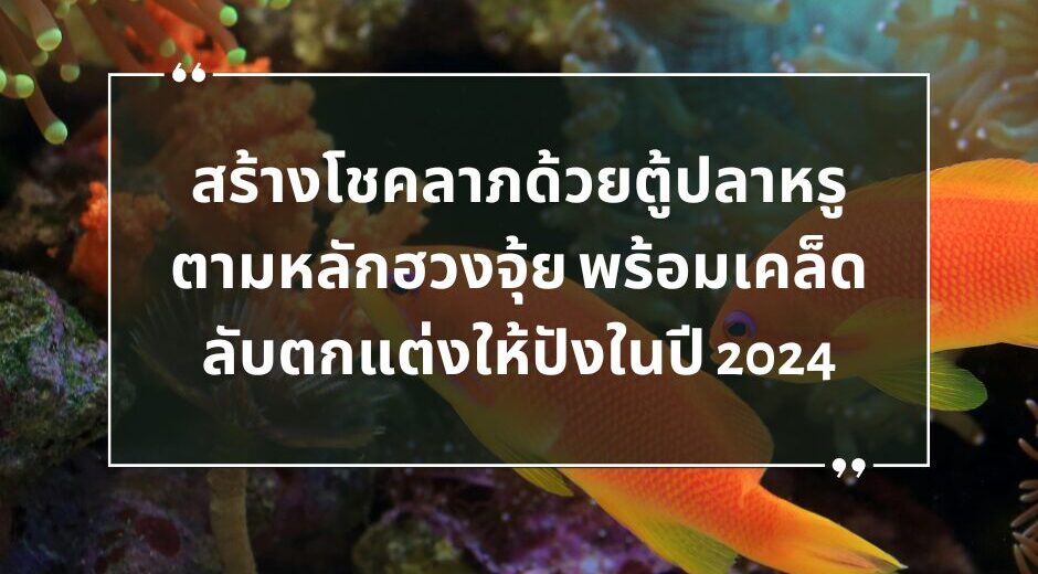 สร้างโชคลาภด้วยตู้ปลาหรู ตามหลักฮวงจุ้ย พร้อมเคล็ดลับตกแต่งให้ปังในปี 2024