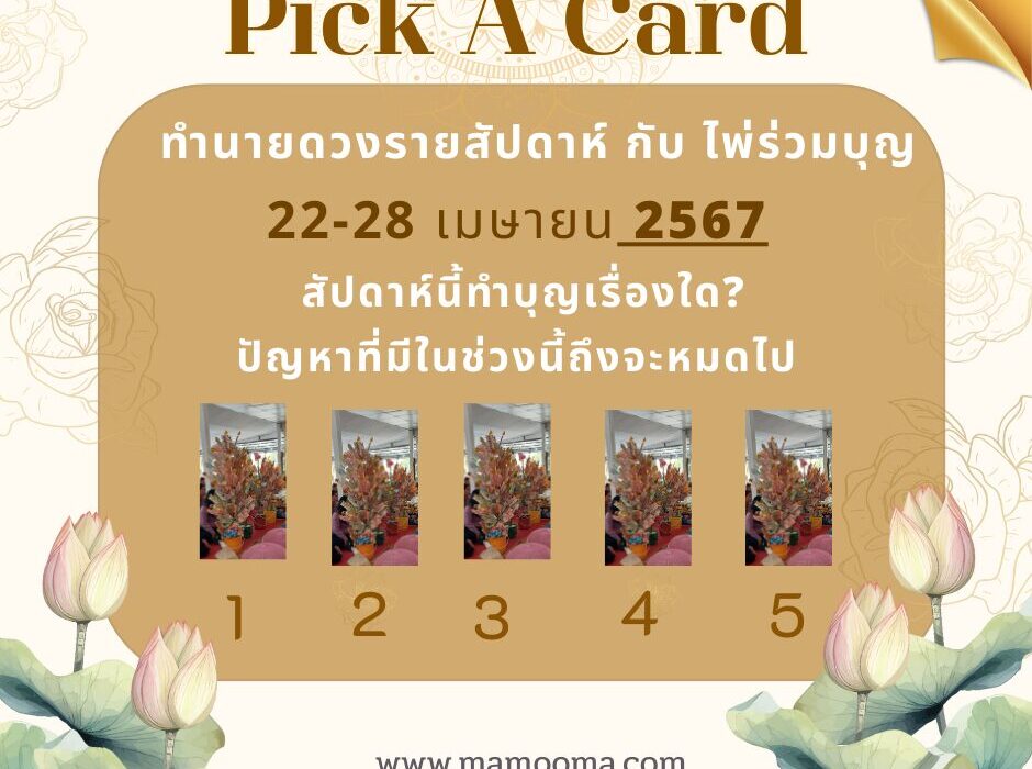 ทำนายดวงรายสัปดาห์กับไพ่ร่วมบุญระหว่างวันที่ 22-28 เมษายน 2567