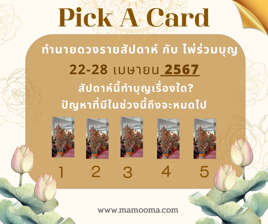 ทำนายดวงรายสัปดาห์กับไพ่ร่วมบุญระหว่างวันที่ 22-28 เมษายน 2567