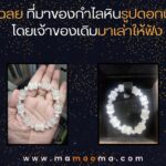 ทำนายฝันเห็นว่า เมาเหล้า เมาสุรา เลขเด็ด เลขนำโชค ต้องลอง