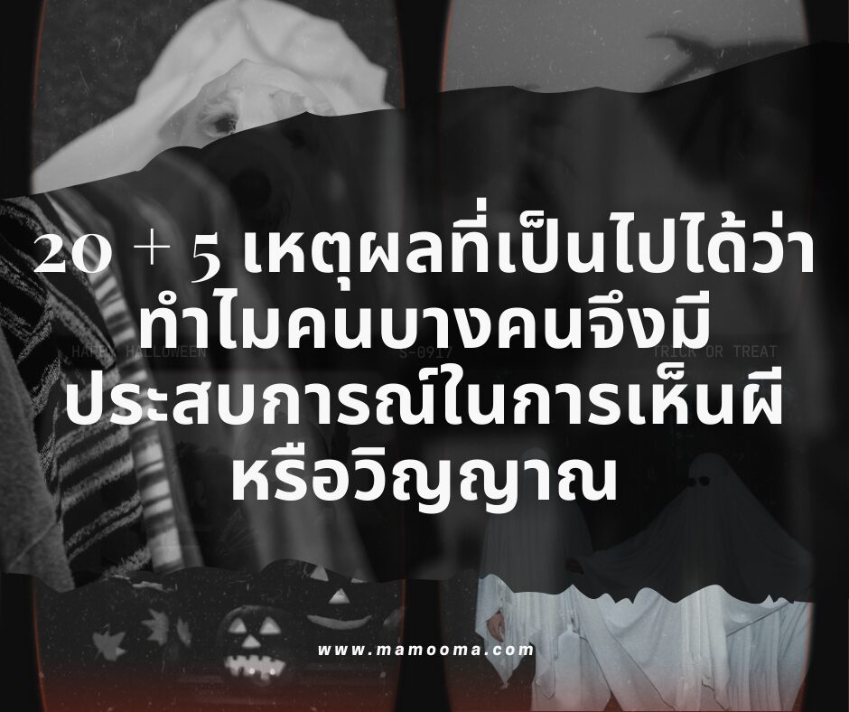 20 + 5 เหตุผลที่เป็นไปได้ว่าทำไมคนบางคนจึงมีประสบการณ์ในการเห็นผีหรือวิญญาณ