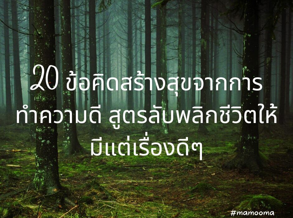 20 ข้อคิดสร้างสุขจากการทำความดี สูตรลับพลิกชีวิตให้มีแต่เรื่องดีๆ