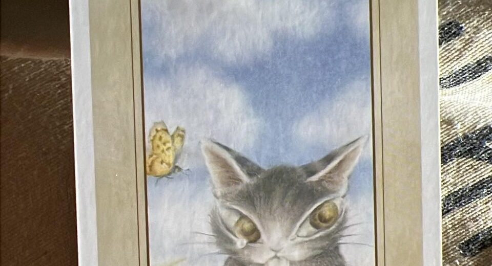 เรื่องเล่าจากไพ่ Dayan Wachifield cat Card