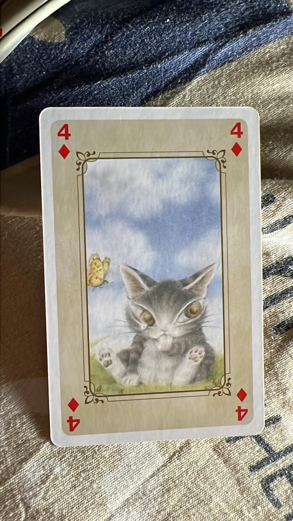 เรื่องเล่าจากไพ่ Dayan Wachifield cat Card