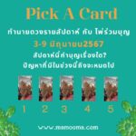 ทำนายดวงรายสัปดาห์กับไพ่พระคาถาระหว่างวันที่ 3-9 มิถุนายน 2567 สัปดาห์นี้สวดพระคาถาบทใดดีนะ?
