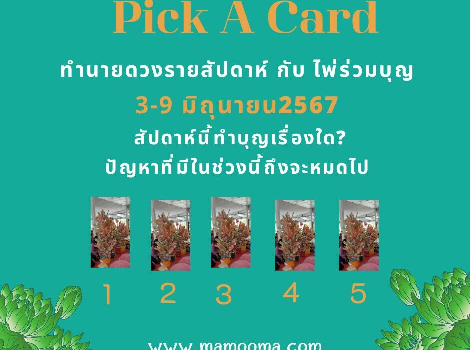ทำนายดวงรายสัปดาห์กับไพ่ร่วมบุญ 3-9 มิถุนายน 2567