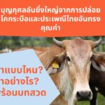 เมื่อเราทำความดี สิ่งดีๆ จะตามมาหาเราเอง เพราะนั่นคือกฎแห่งกรรม