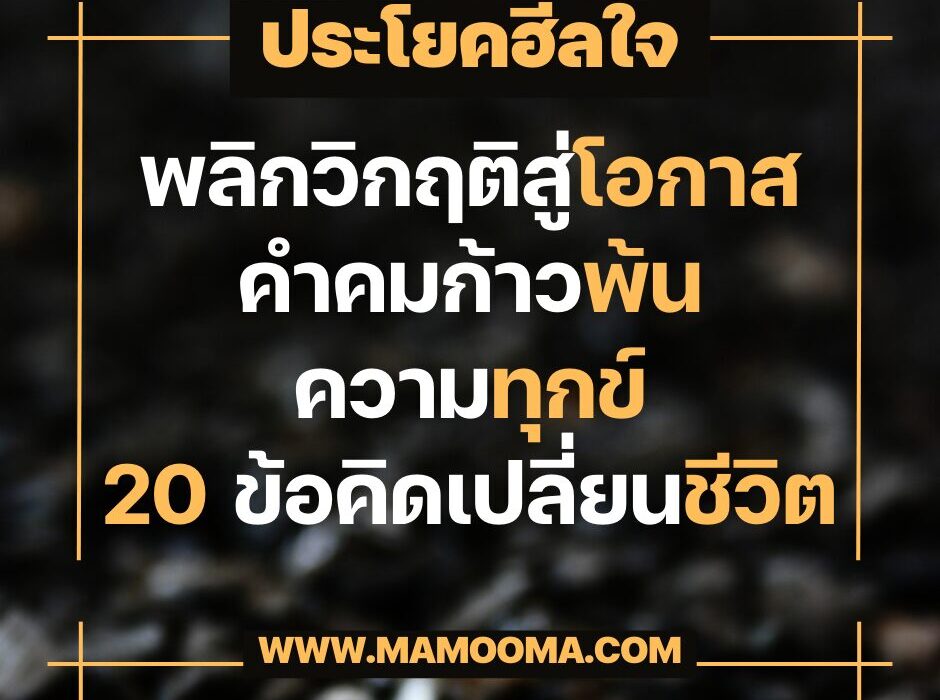 เม้ามอยกับมามูมะ พลิกวิกฤติสู่โอกาส คำคมก้าวพ้นความทุกข์ 20 ข้อคิดเปลี่ยนชีวิต 1 พลิกวิกฤติสู่โอกาส คำคมก้าวพ้นความทุกข์ 20 ข้อคิดเปลี่ยนชีวิต