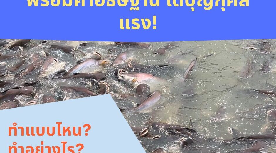 อานิสงส์ของการปล่อยปลา พร้อมคำอธิษฐาน ได้บุญกุศลแรง!