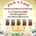ทำนายดวงรายสัปดาห์กับไพ่ชินจัง 5-11 สค 2567 สัปดาห์นี้จะเป็นเช่นใด?