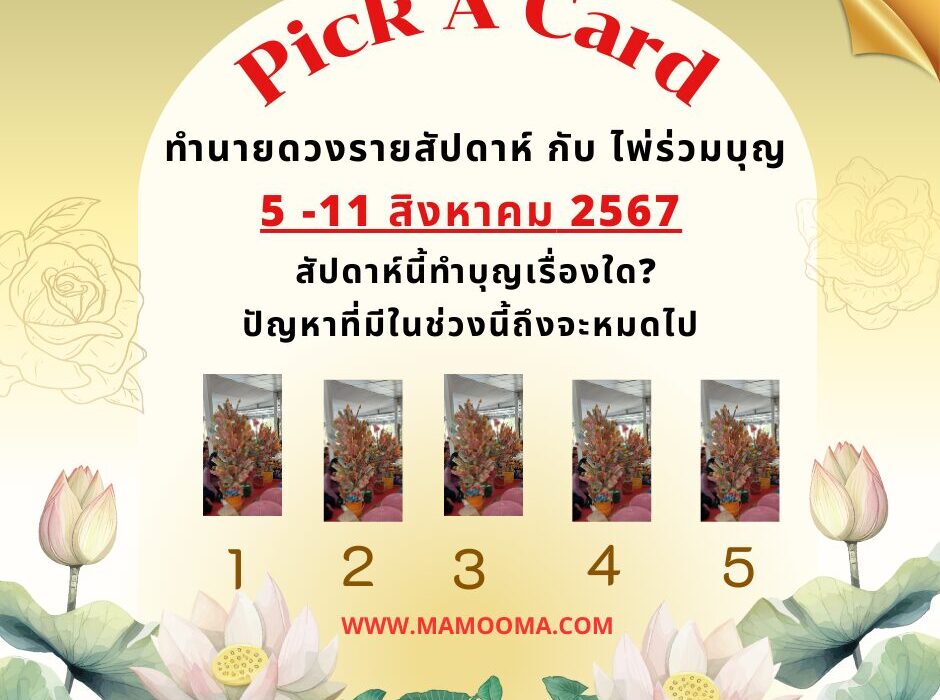 Pick A Card ทำนายดวงรายสัปดาห์กับไพ่ร่วมบุญระหว่างวันที่ 5-11สิงหาคม 2567