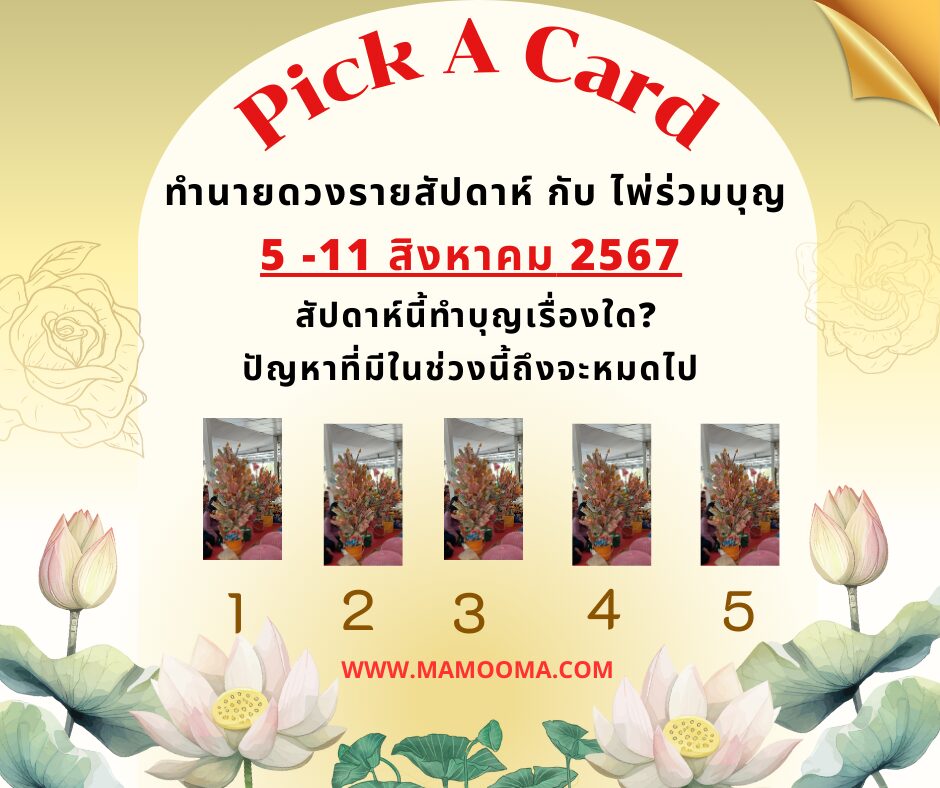 Pick A Card ทำนายดวงรายสัปดาห์กับไพ่ร่วมบุญระหว่างวันที่ 5-11สิงหาคม 2567
