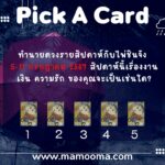 ทำนายดวงรายสัปดาห์กับไพ่ร่วมบุญระหว่างวันที่ 5-11 สิงหาคม 2567 สัปดาห์นี้ทำบุญเรื่องใดกันดี?