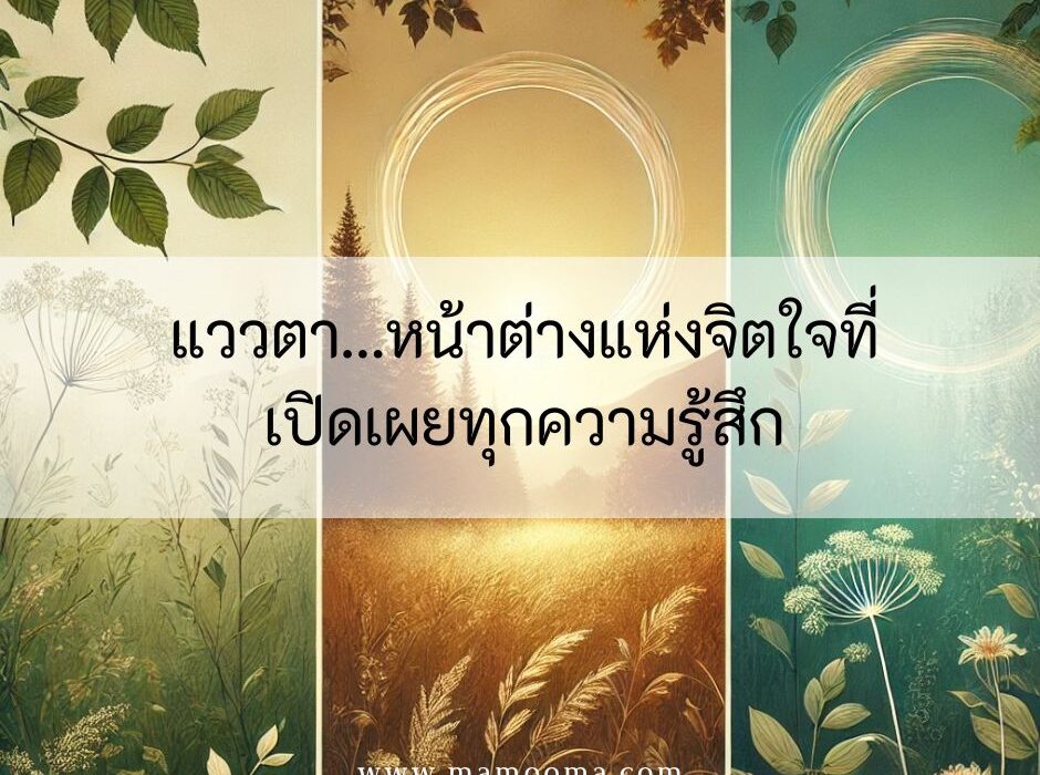 แววตา…หน้าต่างแห่งจิตใจที่เปิดเผยทุกความรู้สึก