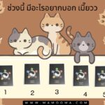 ดวงรายวัน พร้อมเลขเด็ดประจำวัน 23/02/2025