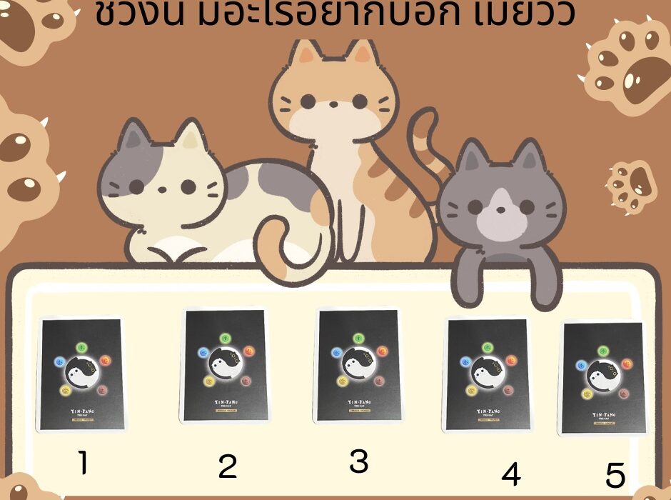 ช่วงนี้ มีอะไรอยากบอก เมี๊ยววว ไพ่ชุด YIN YANG The Cat