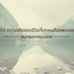 ทำนายดวงรายสัปดาห์กับไพ่ชินจัง 10-16 มีนาคม 2568 สัปดาห์นี้จะเป็นเช่นใด?