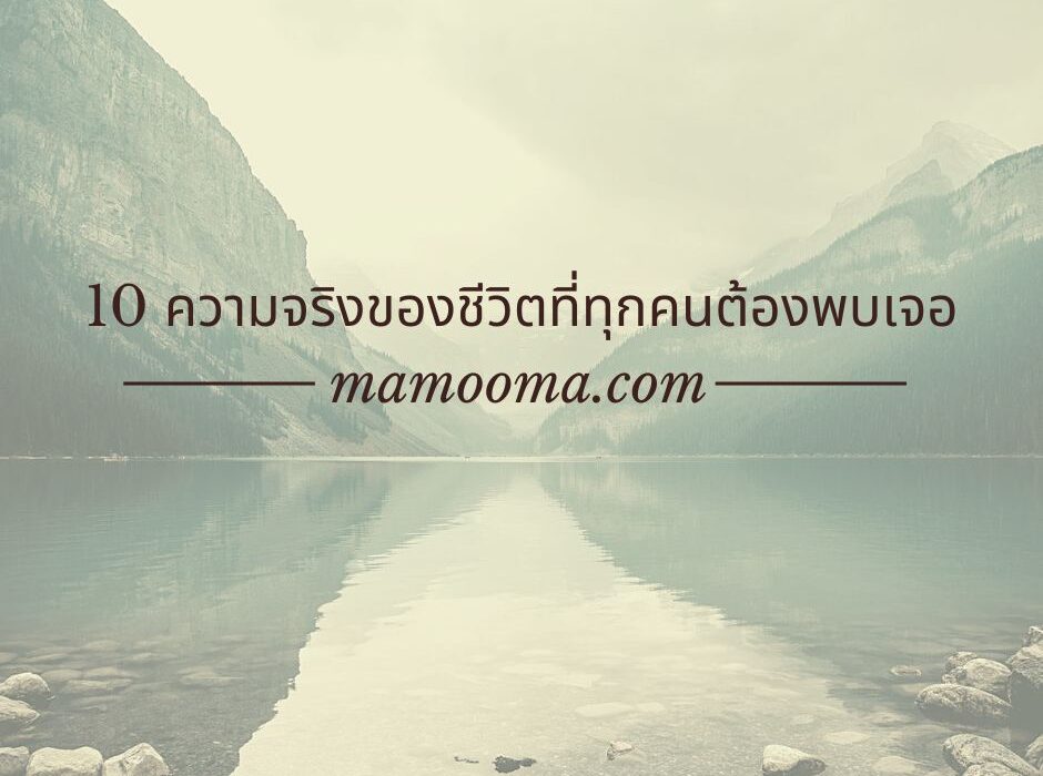 ความจริงของชีวิตที่ทุกคนต้องพบเจอ