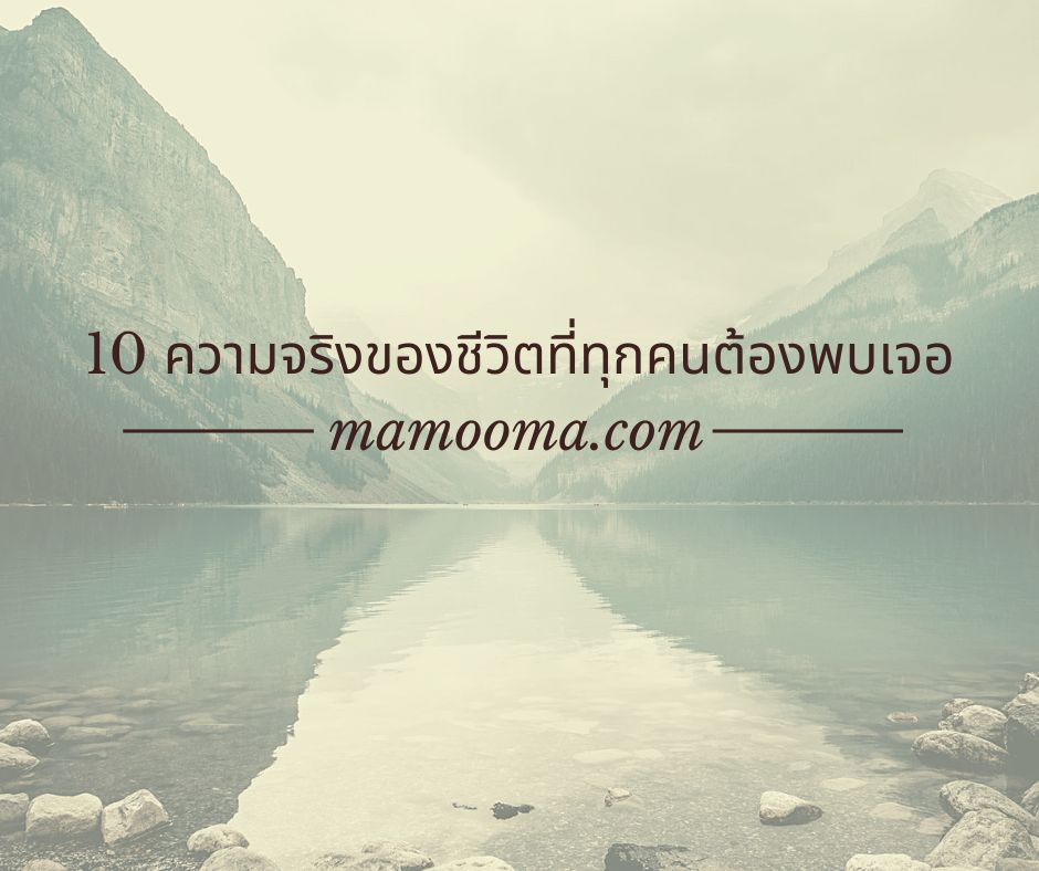 ความจริงของชีวิตที่ทุกคนต้องพบเจอ