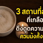ทำนายดวงรายสัปดาห์กับไพ่ชินจัง   18-24 สิงหาคม 2568 สัปดาห์นี้จะเป็นเช่นใด?