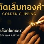 7 วันของสัปดาห์  คุณควรกินอะไรเพื่อเสริมพลัง