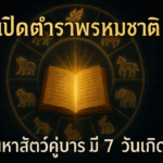 ทำนายดวงรายสัปดาห์กับไพ่ชินจัง   22-28 กันยายน 2568 สัปดาห์นี้จะเป็นเช่นใด?